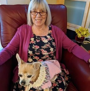 Meet your Posher, Sandy